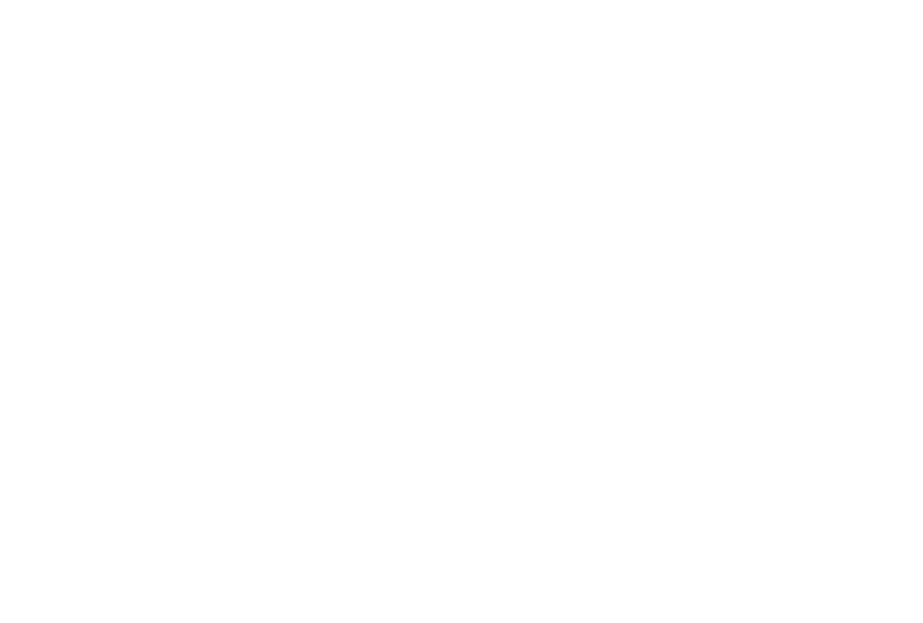 The Commodore Corporation